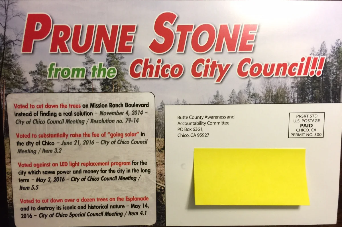 2016 opposition mailer with the headline Prune Stone from the Chico City Council