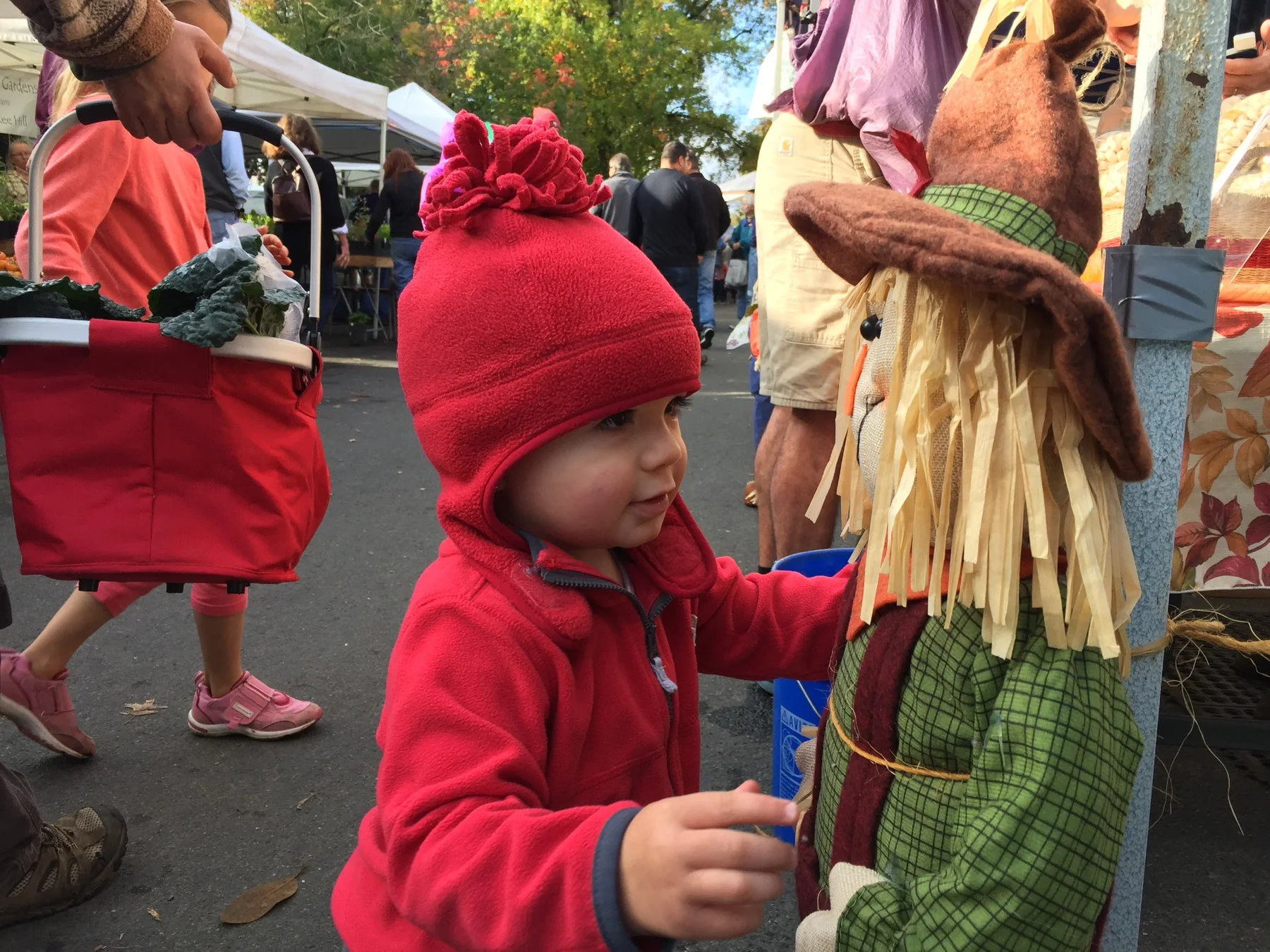 Rhys Stone exploring a scarecrow display at an autumn market in Chico